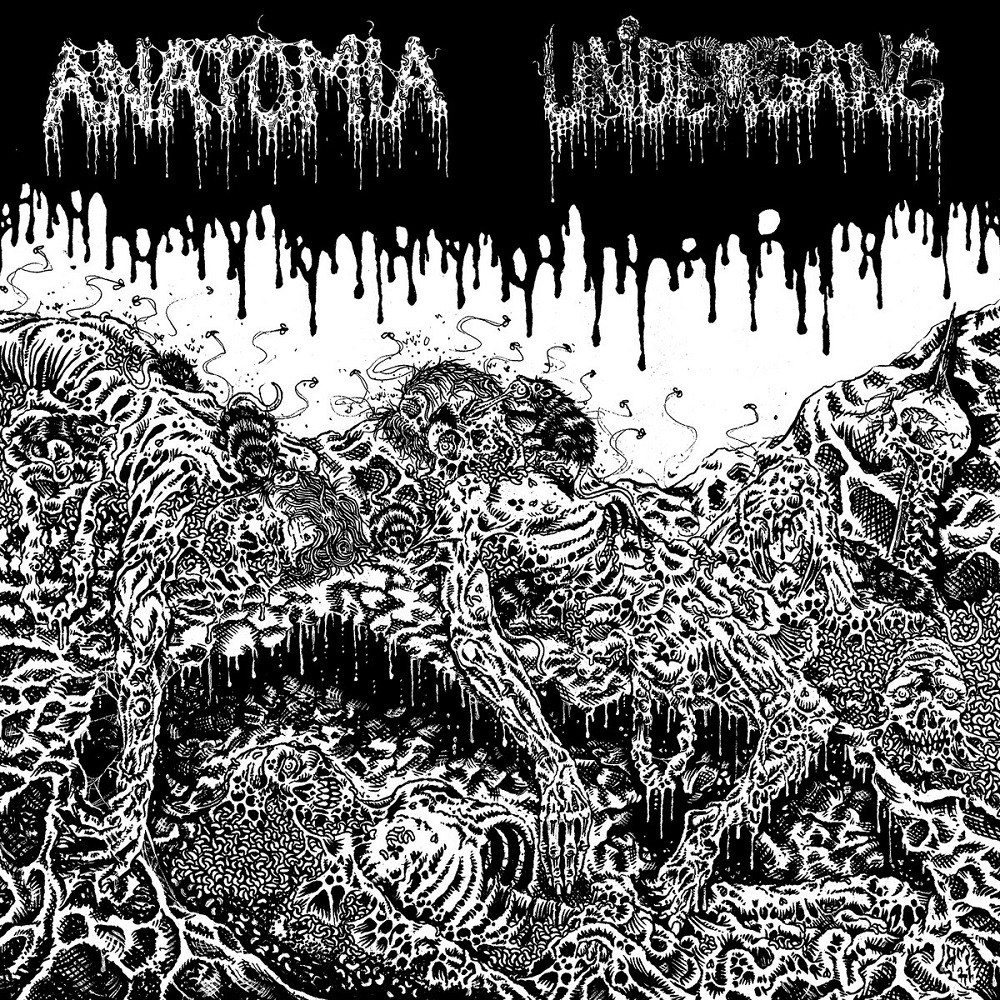 Anatomia / Undergang - Anatomia / Undergang (2022) Cover
