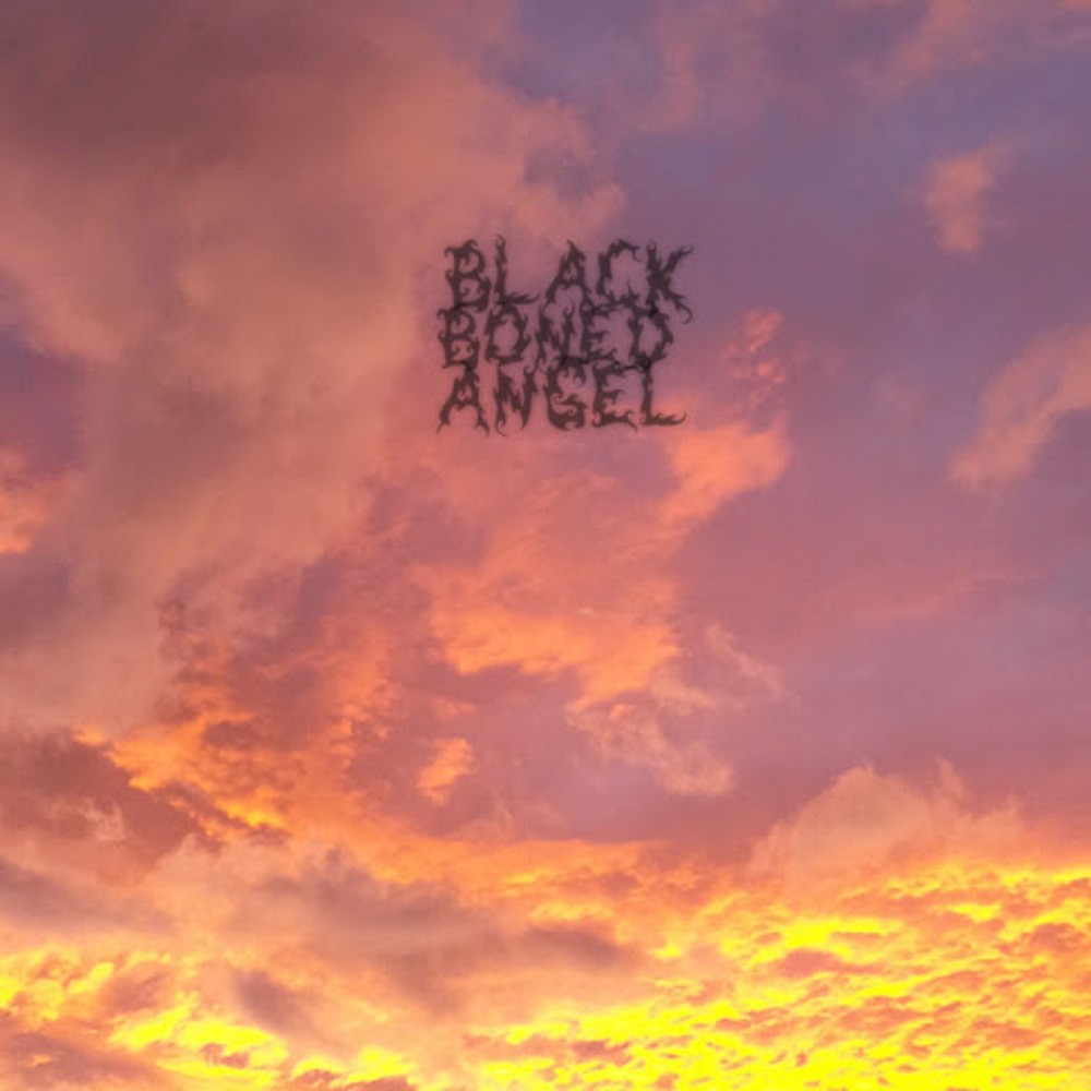 Black Boned Angel - The End (2013) Cover
