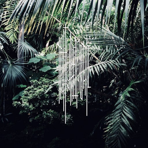 NM1
