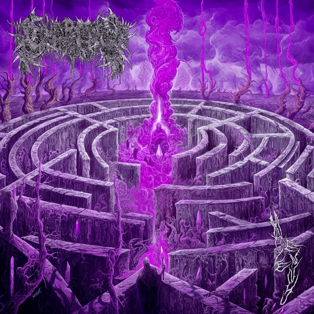 Civerous - Maze Envy (2024) Cover