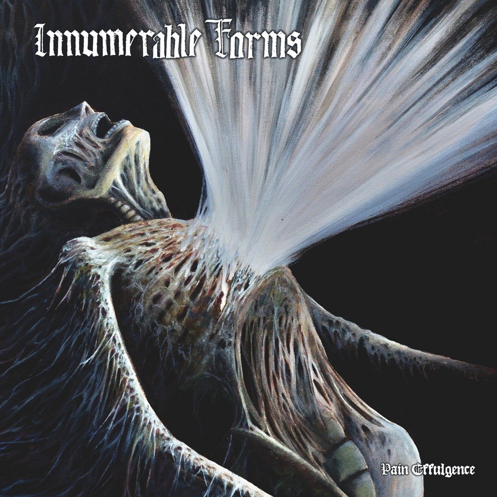 Innumerable Forms - Pain Effulgence (2025) Cover