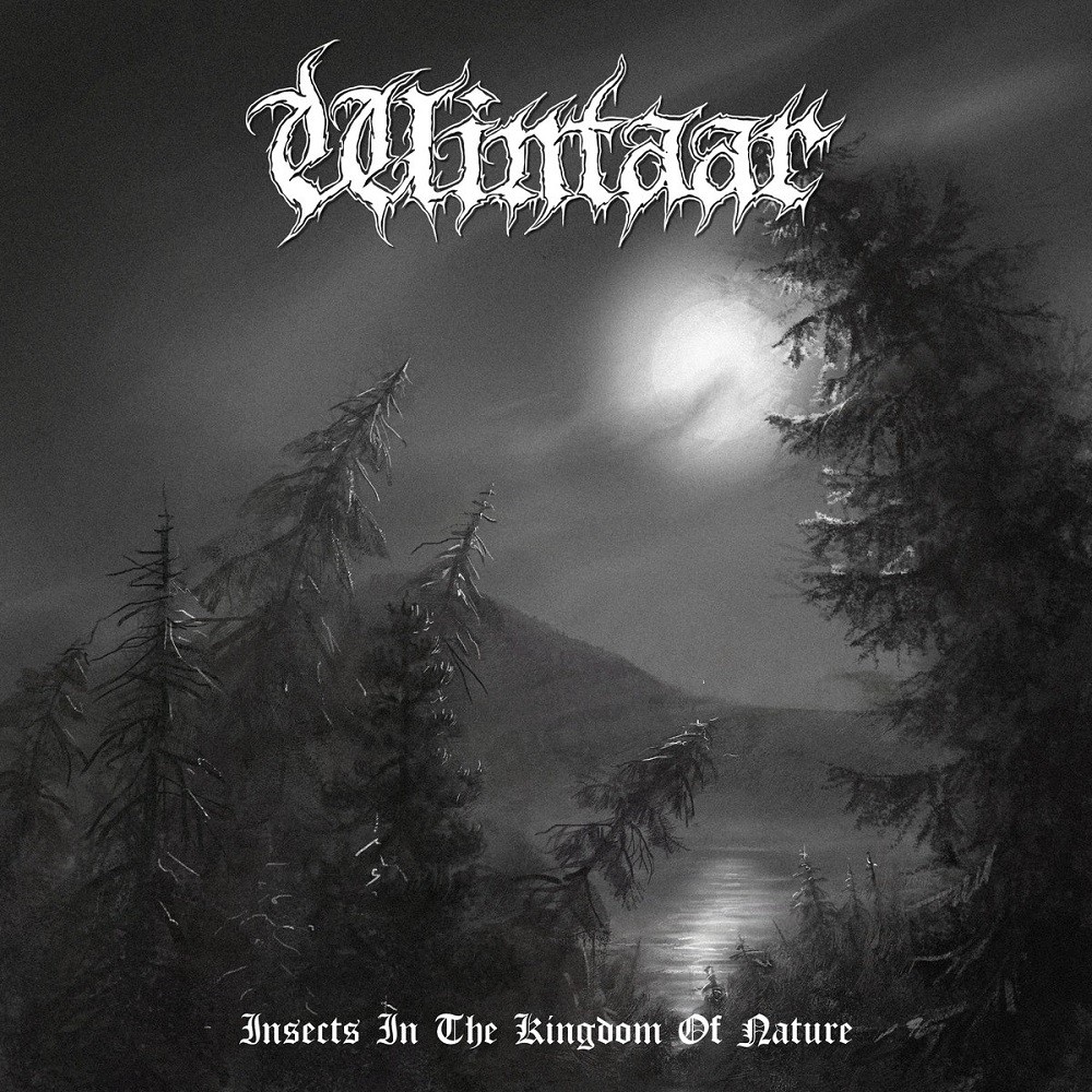 Wintaar - Insects in the Kingdom of Nature (2021) Cover