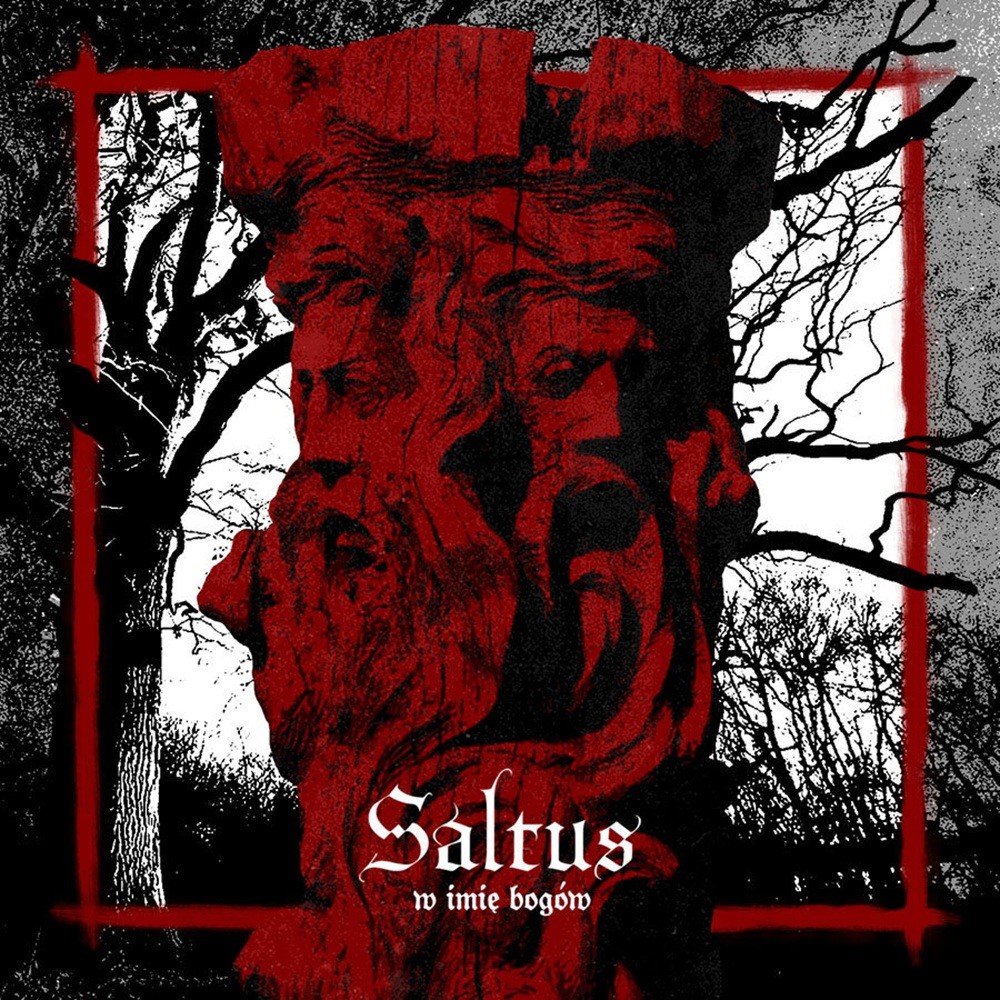 Saltus - W imię bogów (2015) Cover