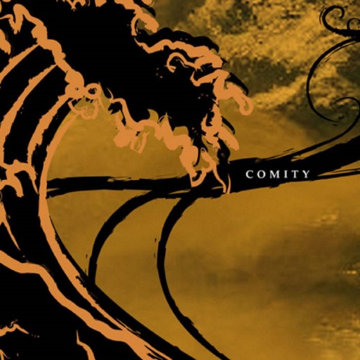 Comity - The Andy Warhol Sucks EP 2011