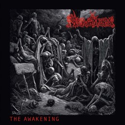 Review by UnhinderedbyTalent for Merciless - The Awakening (1990)