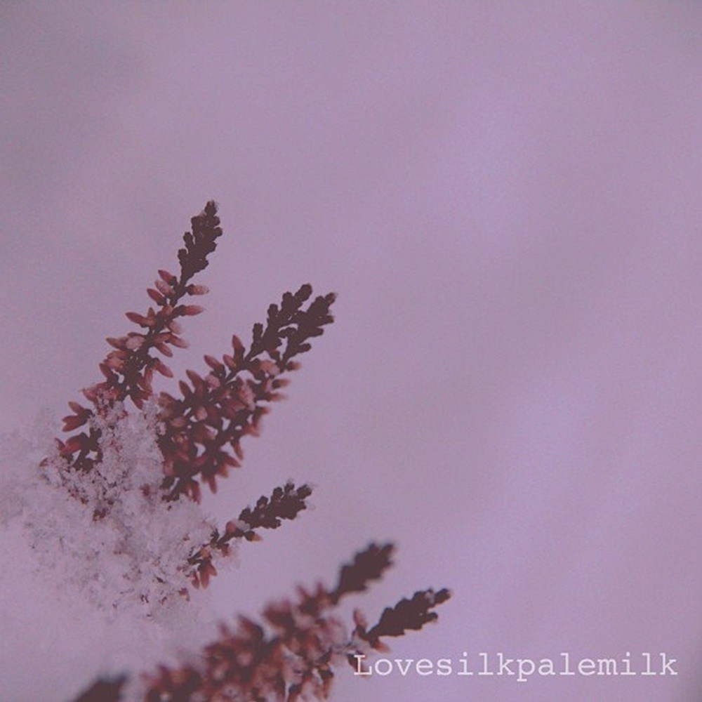 Lovesilkpalemilk - Your Skin, Pale as Milk (2013) Cover