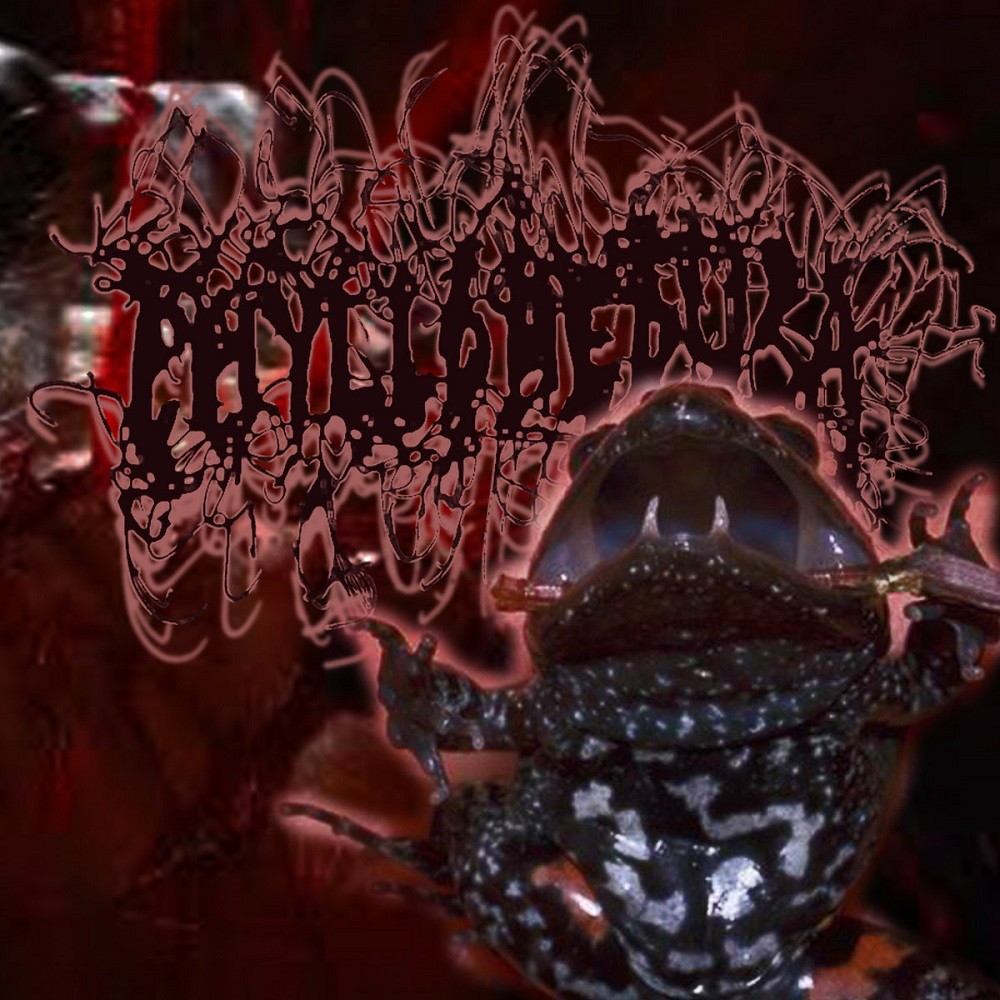 Phyllomedusa - Blood Drawn the Adelotus Way (2018) Cover