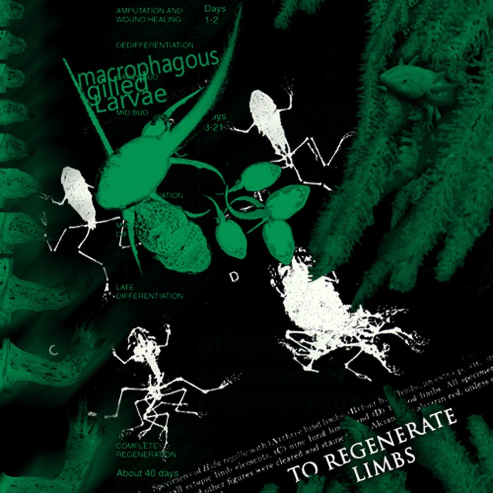 Macrophagous Gilled Larvae - To Regenerate Limbs (2011) Cover