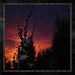 Nocturnal Womb