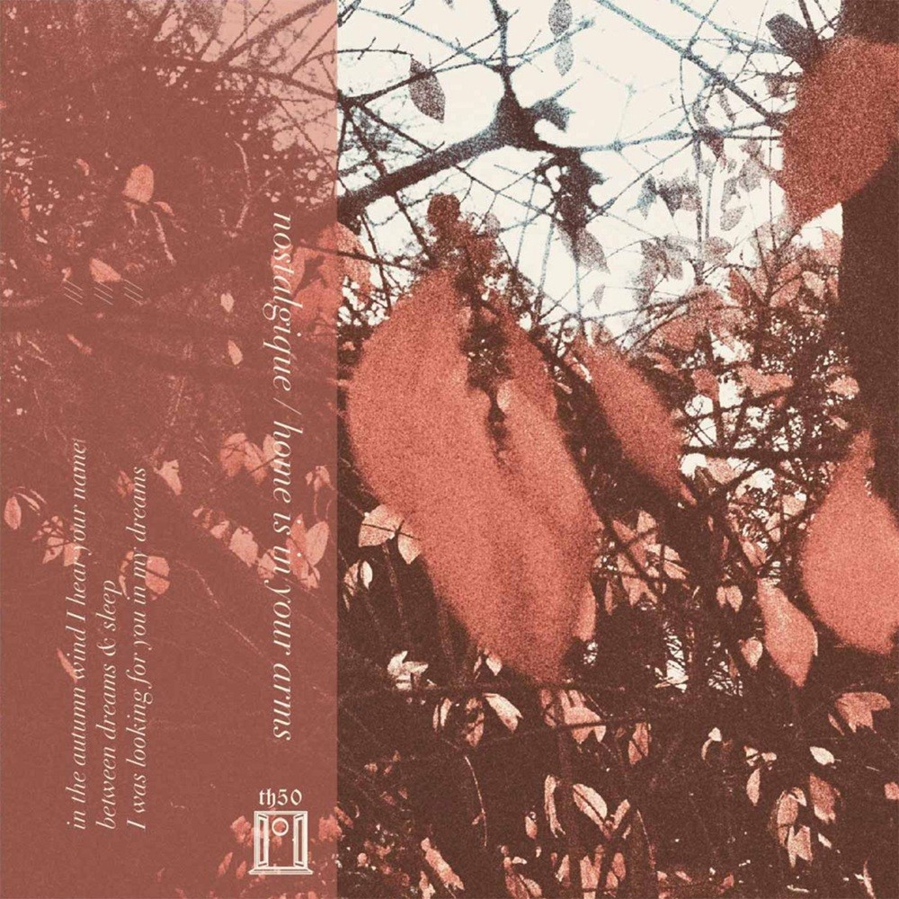 nostalgique / home is in your arms - nostalgique / home is in your arms (2025) Cover