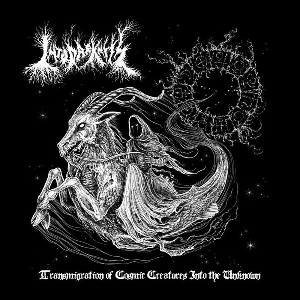 Into Darkness - Transmigration of Cosmic Creatures Into the Unknown