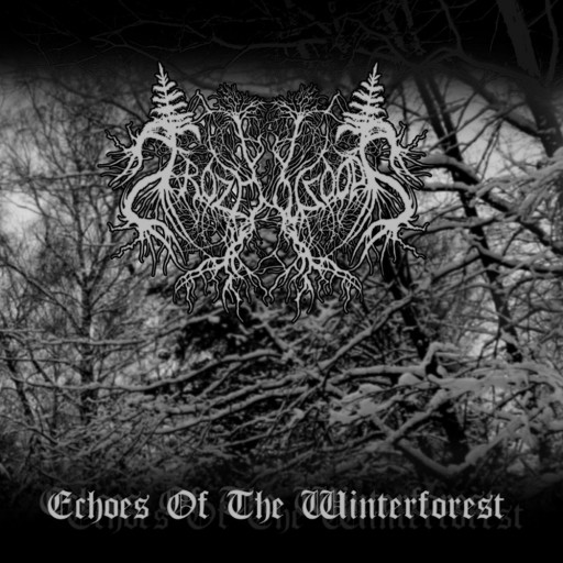 Echoes of the Winterforest
