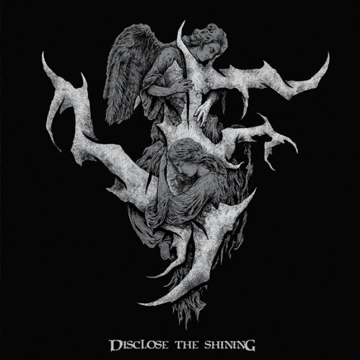 Disclose the Shining