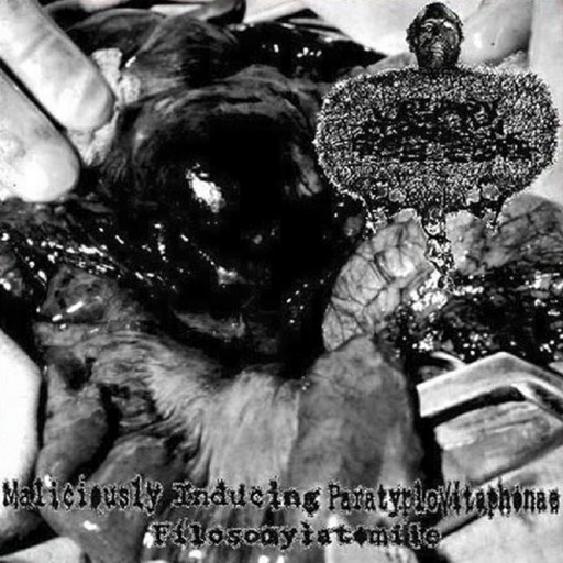 Maliciously Inducing Paratyplovitaphonae Filosomyiatomiie