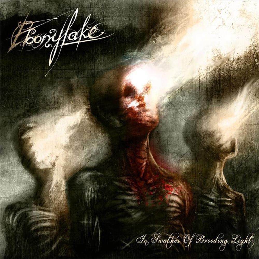 Ebonylake - In Swathes of Brooding Light (2011) Cover