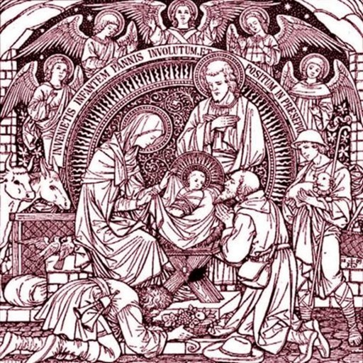 313: In the Lining of Your Skin