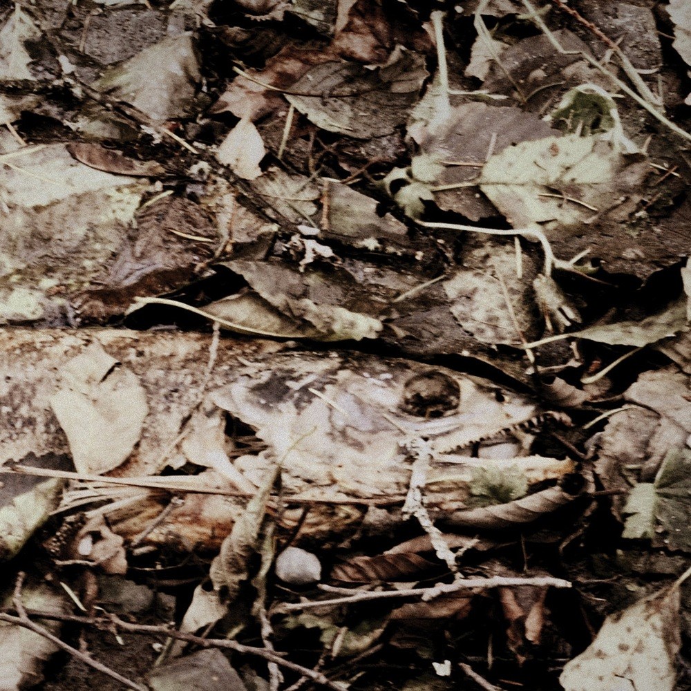 Harrow - The River (2015) Cover