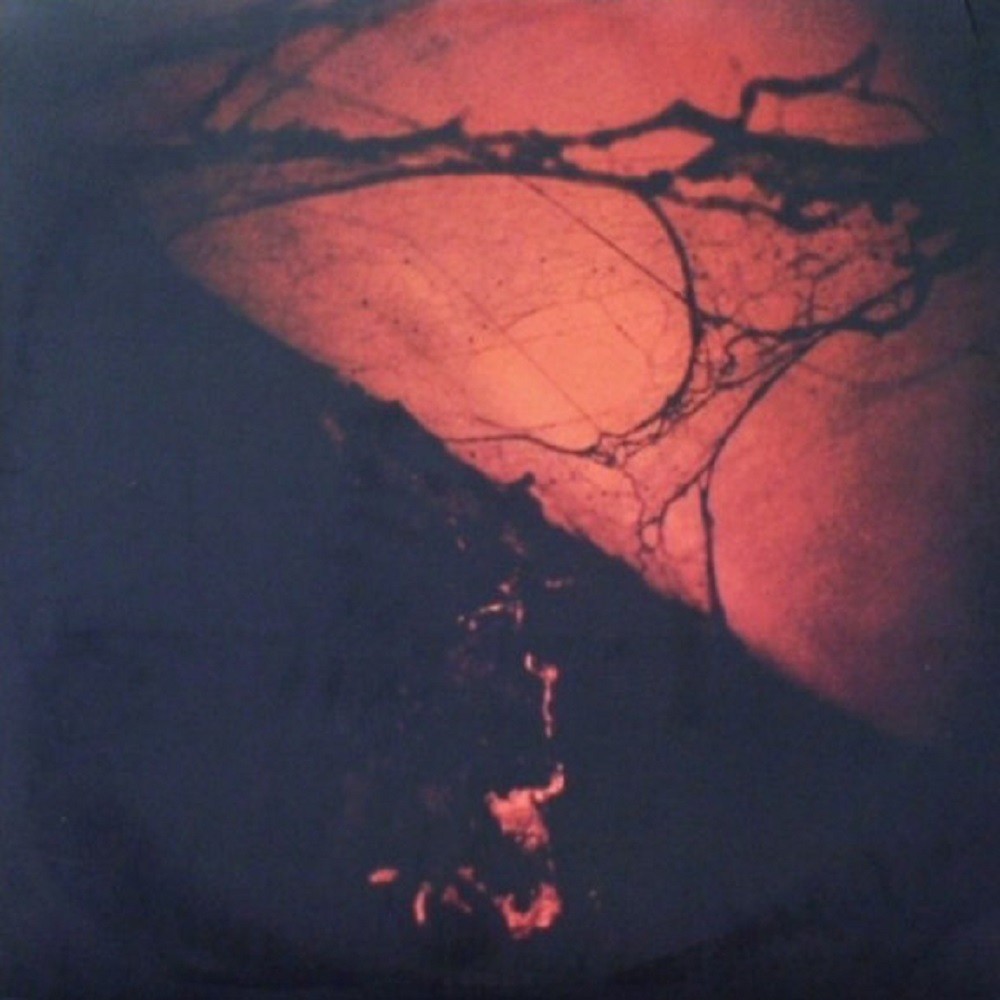 Fleshpress - Wörm Dirges (2004) Cover