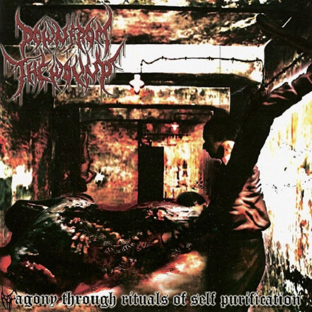 Down From the Wound - Agony Through Rituals of Self Purification (2007) Cover