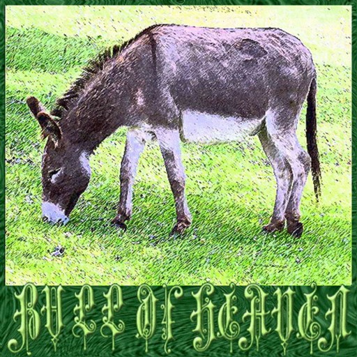 186: A Donkey's Head Sold for Eighty Shekels of Silver