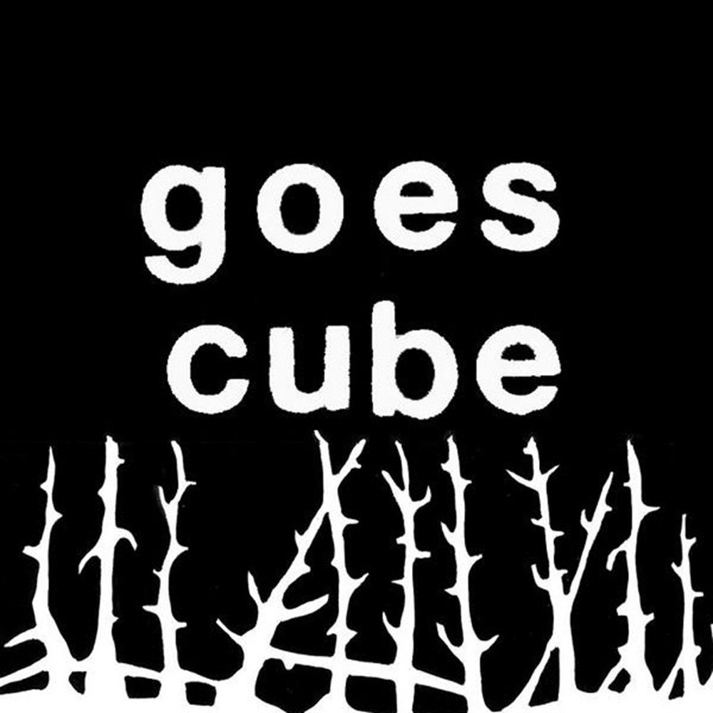Goes Cube - Not What We Thought (2008) Cover