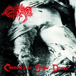 Consumed by Slow Decay