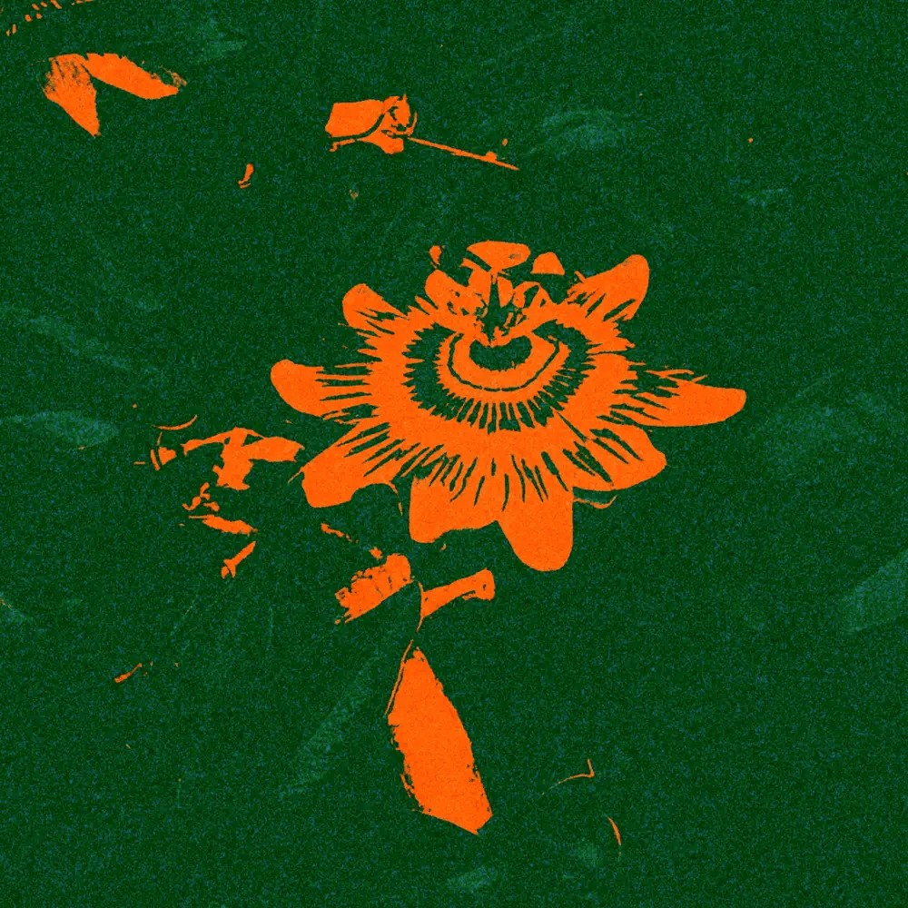 Sadness (USA) - Compilation Five (2025) Cover