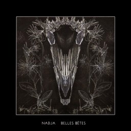 Belles Bêtes