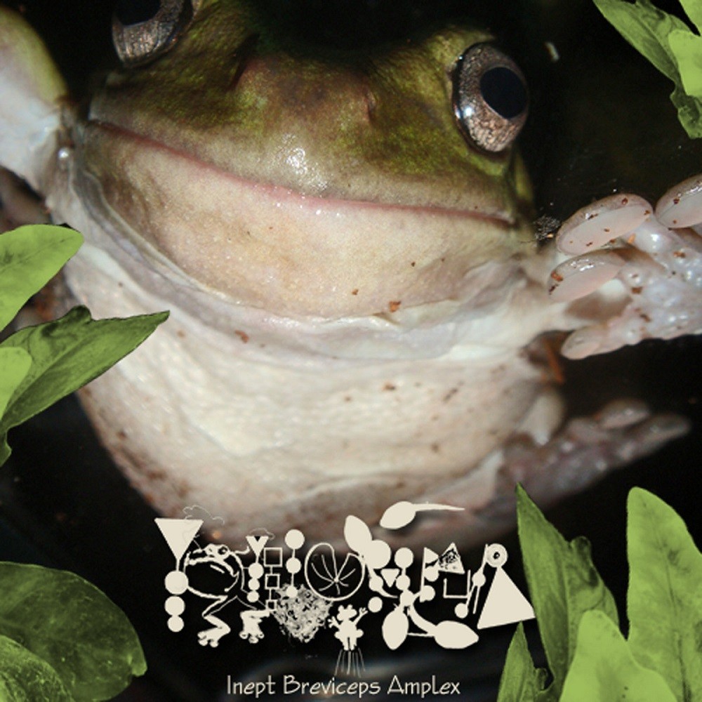 Phyllomedusa - Inept Breviceps Amplex (2010) Cover