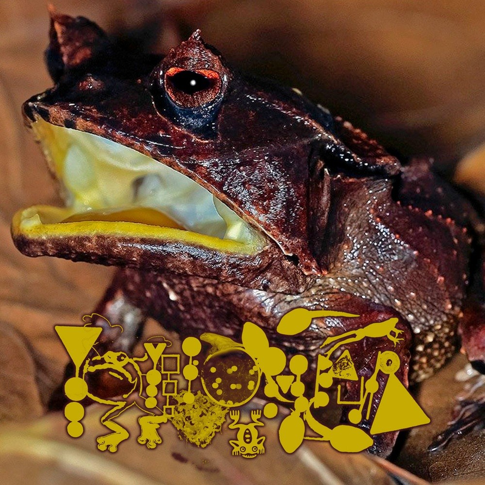 Phyllomedusa - D.A.R.K.N.E.S.S (2025) Cover