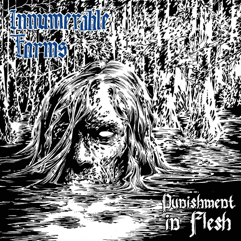 Innumerable Forms - Punishment in Flesh (2018) Cover