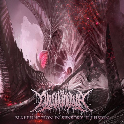 Malfunction in Sensory Illusion