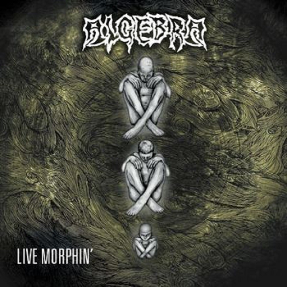Algebra - Live Morphin' (2013) Cover