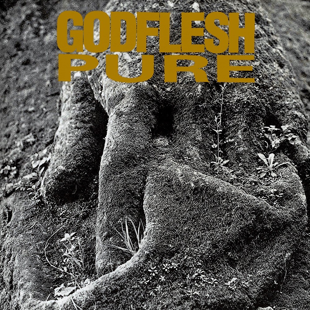 Godflesh - Pure (1992) Cover