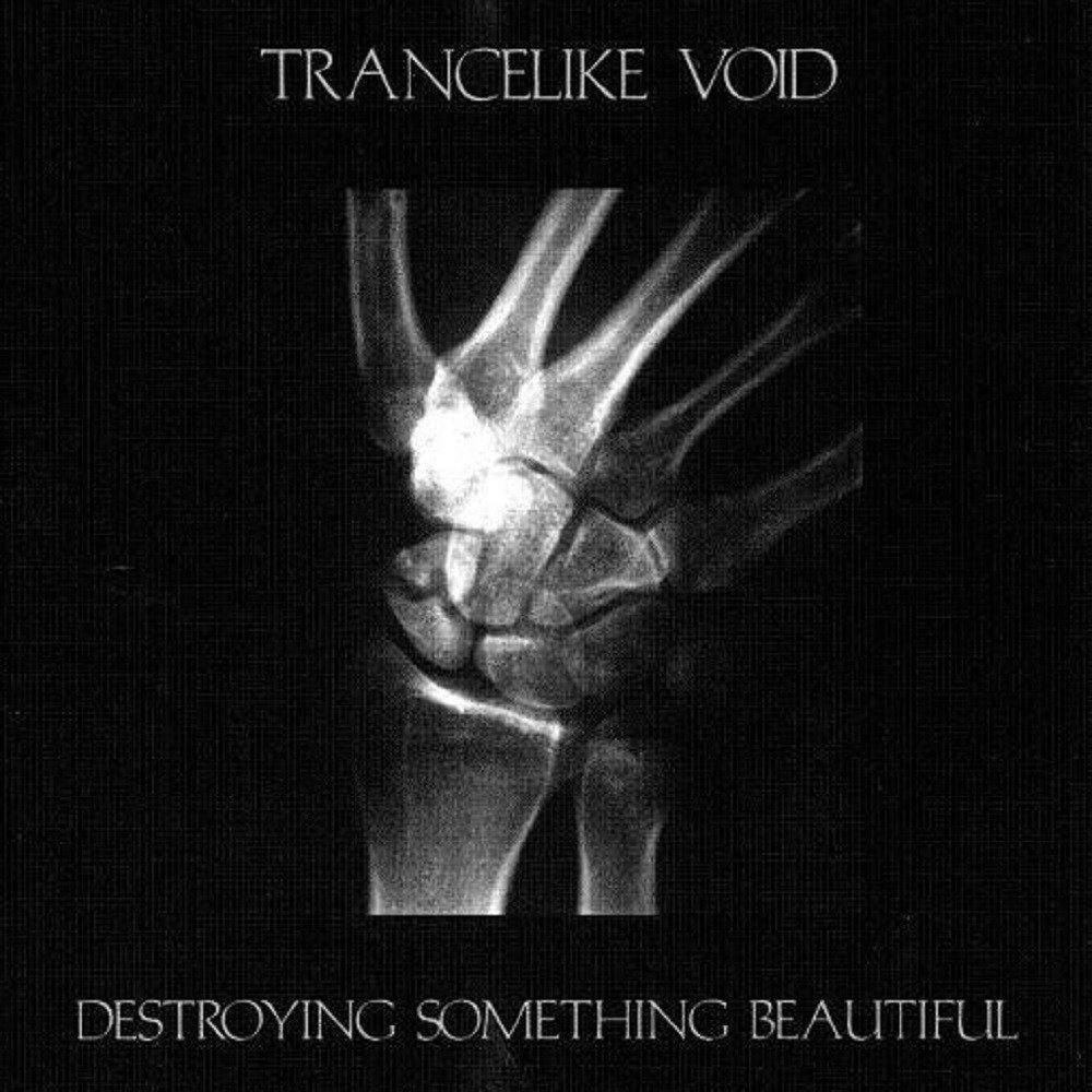 Trancelike Void - Destroying Something Beautiful (2008) Cover
