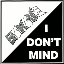 I Don't Mind