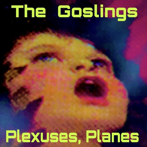 Plexuses, Planes