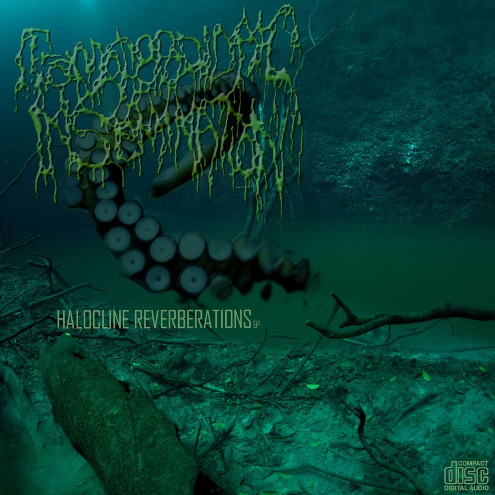 Tremoctopodidaic Insemination - Halocline Reverberations (2016) Cover
