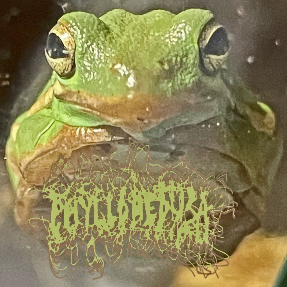 Phyllomedusa - Hate Runs Green (2023) Cover