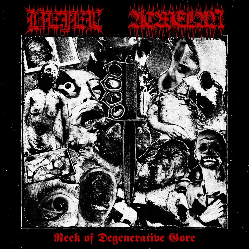 Bejel / Acwelan - Reek of Degenerative Gore (2020) Cover