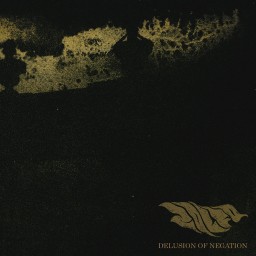Review by Sonny for Zolfo - Delusion of Negation (2020)