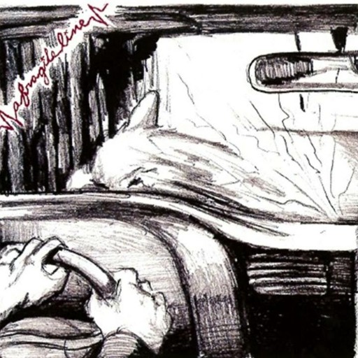 Perspective of the World Through a Bird's Eye View