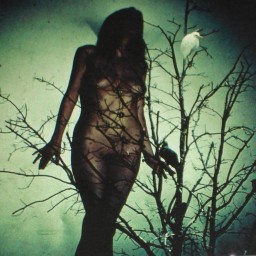 An Ache for the Distance