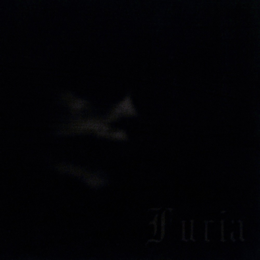 Furia - Martwa polska jesień (2007) Cover