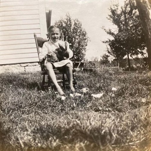 The Goose Is Out of the Bag