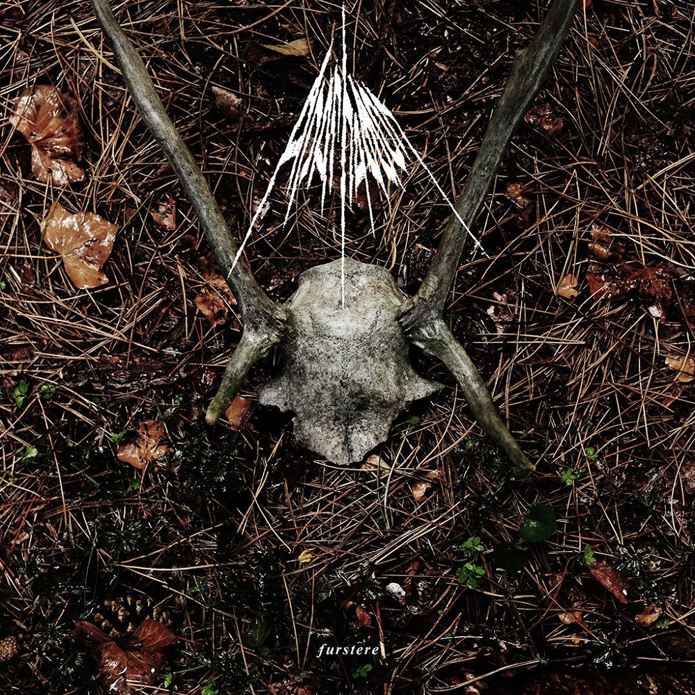 Asarhaddon - Furstere (2015) Cover