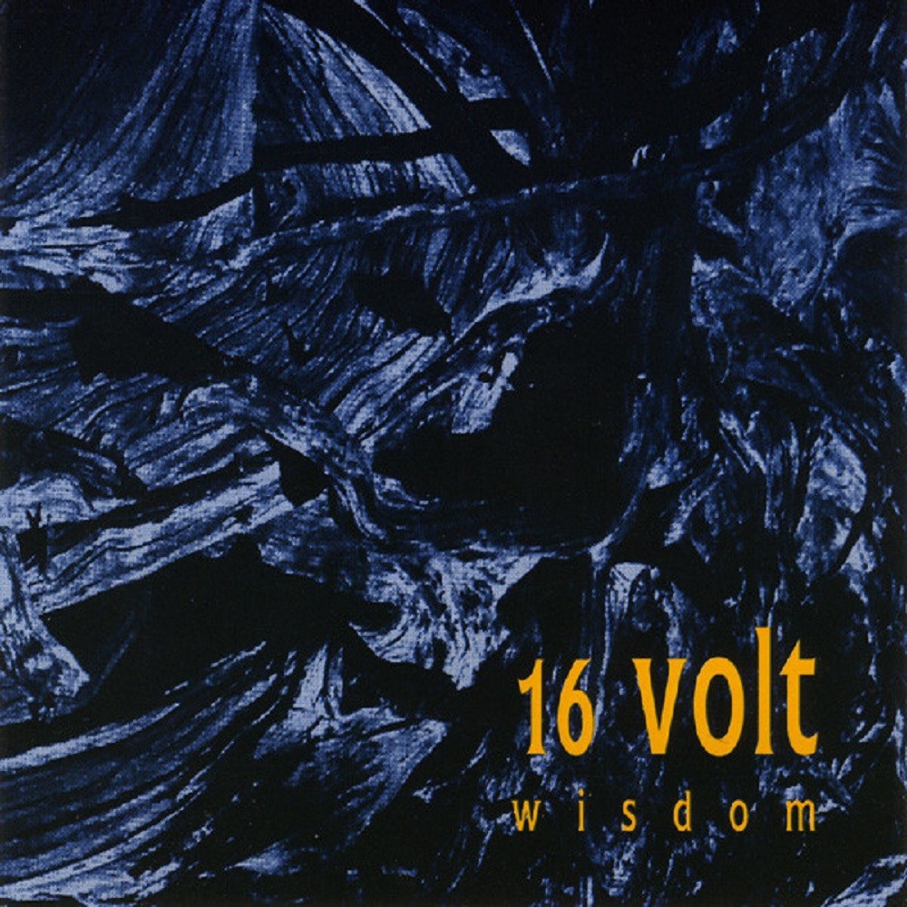 16volt - Wisdom (1993) Cover