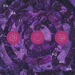 Paralipomena