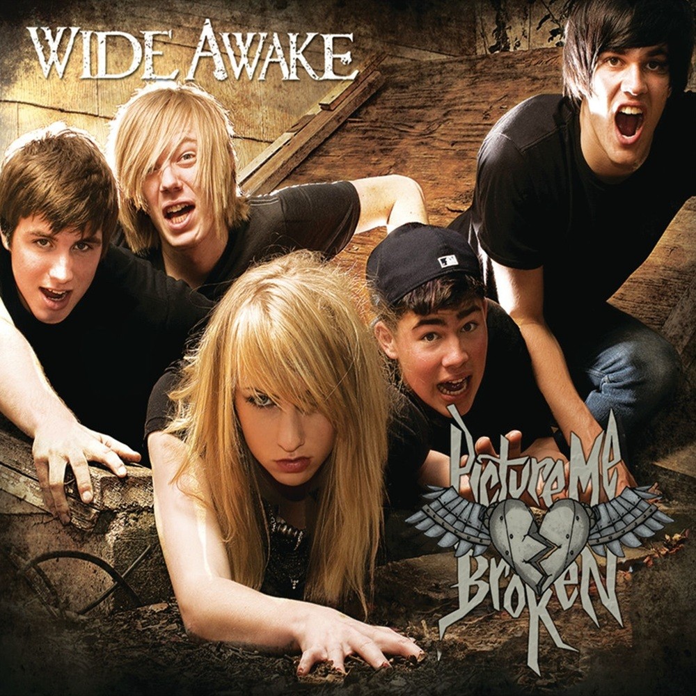 Picture Me Broken - Wide Awake (2010) Cover