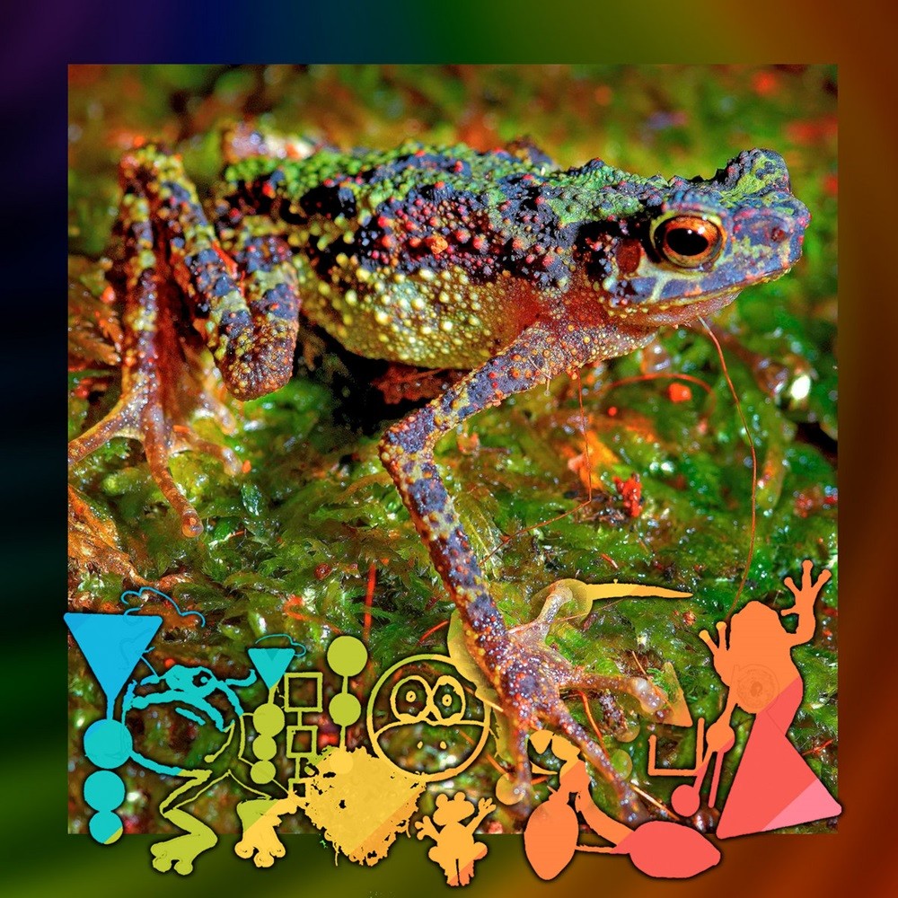 Phyllomedusa - Millicent, the Toad Who Felt Different (2021) Cover